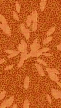 Benzersiz dijital hareket grafiklerine sahip yaratıcı sinematik projeler için yumuşak animasyon yüzeyi