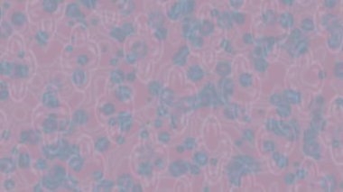 Estetik doku arkaplan tasarımı renkli hareket grafikleri ile moda film giriş profosyoneli