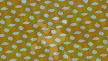 Lüks hareket tasarımı üst düzey video projeleri ve dijital sanat için zarif, pürüzsüz bir dokusu var.