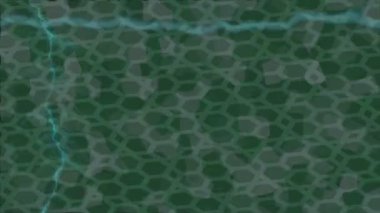 Dijital doku yüzey tasarım biçimi ile modern video animasyonu için gelişmiş hareket grafikleri