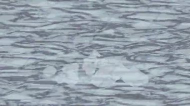 Benzersiz hareket dokusu tasarım sanatı ile profesyonel video düzenleme için modern soyut grafikler