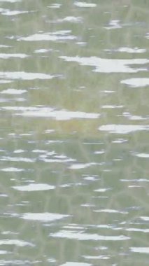 Benzersiz dijital animasyon tarzı grafikleri olan yaratıcı ortam tasarımı için yenilikçi hareket dokusu