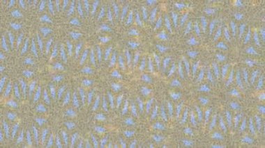 Benzersiz dijital hareket grafiklerine sahip yaratıcı sinematik projeler için yumuşak animasyon yüzeyi