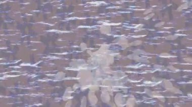 Profesyonel video projeleri sanat tarzı için organik hareketli arkaplan tasarımı