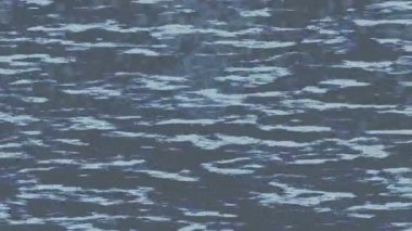 Yaratıcı video düzenleme film tasarımı için benzersiz hareket grafikleri biçimi giriş hareketi video pro