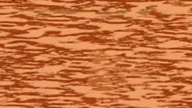 Dijital doku yüzey tasarım biçimi ile modern video animasyonu için gelişmiş hareket grafikleri