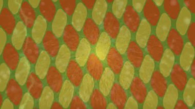 Organik desenli yüzey giriş stili video film sanatı ile soyut arkaplan tasarımı