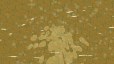 Yaratıcı video düzenleme film arkaplan tasarımı için minimalist organik hareket grafikleri