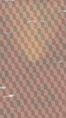 Yaratıcı video düzenleme film arkaplan tasarımı için minimalist organik hareket grafikleri