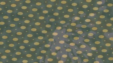 Yaratıcı video düzenleme film arkaplan tasarımı için minimalist organik hareket grafikleri