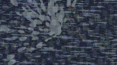 Benzersiz dijital hareket grafiklerine sahip yaratıcı sinematik projeler için yumuşak animasyon yüzeyi