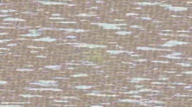 Benzersiz dijital hareket grafiklerine sahip yaratıcı sinematik projeler için yumuşak animasyon yüzeyi