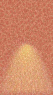 Benzersiz dijital animasyon tarzı grafikleri olan yaratıcı ortam tasarımı için yenilikçi hareket dokusu