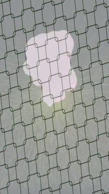 Benzersiz dijital hareket grafiklerine sahip yaratıcı sinematik projeler için yumuşak animasyon yüzeyi