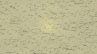 Organik desenli yüzey giriş stili video film sanatı ile soyut arkaplan tasarımı