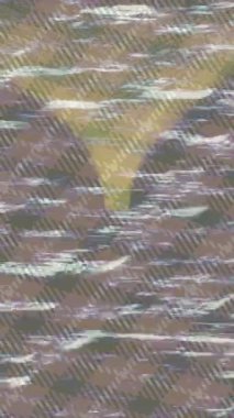 Yaratıcı video düzenleme film arkaplan tasarımı için minimalist organik hareket grafikleri