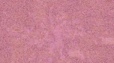 Estetik doku arkaplan tasarımı renkli hareket grafikleri ile moda film giriş profosyoneli