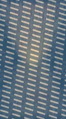 Lüks hareket projeleri için soyut tasarım stili animasyonu olan üst düzey dijital doku