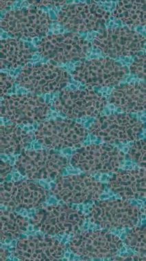 Lüks hareket tasarımı üst düzey video projeleri ve dijital sanat için zarif, pürüzsüz bir dokusu var.