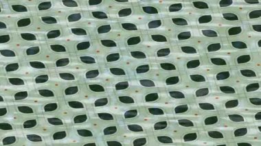 Benzersiz hareket grafikleri tasarım sanatına sahip yaratıcı film üretimi için özet bir arkaplan