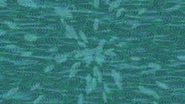 Benzersiz dijital animasyon tarzı grafikleri olan yaratıcı ortam tasarımı için yenilikçi hareket dokusu