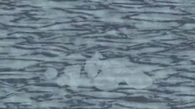 Benzersiz video giriş tasarımı projeleri için detaylı yüzey kalıbı film animasyon stili grafik girişi