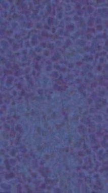 Soyut hareket desenli fütüristik video üretimi için dinamik dijital arkaplan