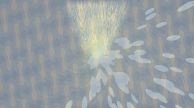 Yaratıcı video düzenleme film arkaplan tasarımı için minimalist organik hareket grafikleri