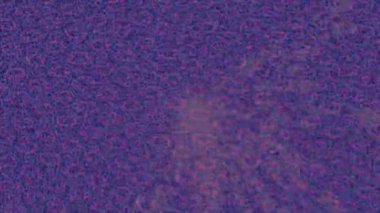 Benzersiz dijital animasyon tarzı grafikleri olan yaratıcı ortam tasarımı için yenilikçi hareket dokusu