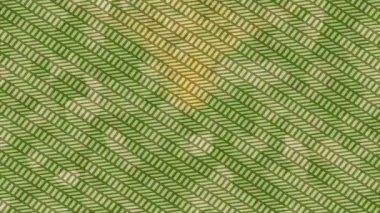 Dijital doku yüzey tasarım biçimi ile modern video animasyonu için gelişmiş hareket grafikleri