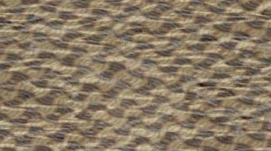 Estetik doku arkaplan tasarımı renkli hareket grafikleri ile moda film giriş profosyoneli