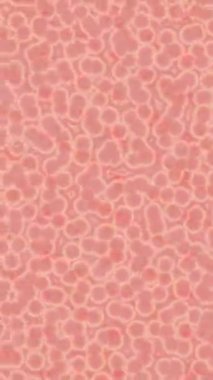 Estetik doku arkaplan tasarımı renkli hareket grafikleri ile moda film giriş profosyoneli