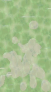 Profesyonel video projeleri sanat tarzı için organik hareketli arkaplan tasarımı