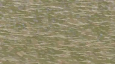 Yaratıcı video düzenleme film arkaplan tasarımı için minimalist organik hareket grafikleri