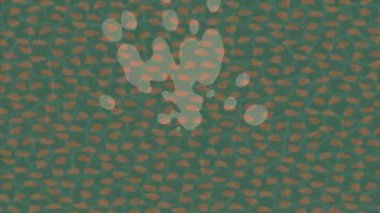 Yaratıcı video düzenleme film arkaplan tasarımı için minimalist organik hareket grafikleri