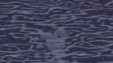 Yaratıcı video düzenleme film tasarımı için benzersiz hareket grafikleri biçimi giriş hareketi video pro