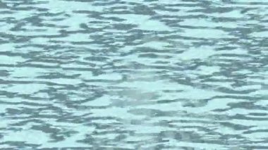 Yaratıcı video düzenleme film arkaplan tasarımı için minimalist organik hareket grafikleri