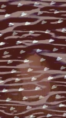 Benzersiz dijital hareket grafiklerine sahip yaratıcı sinematik projeler için yumuşak animasyon yüzeyi