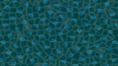 Lüks hareket projeleri için soyut tasarım stili animasyonu olan üst düzey dijital doku