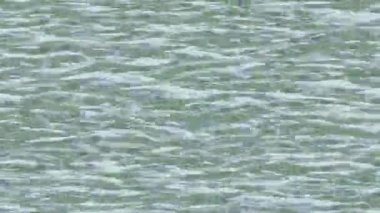 Profesyonel video projeleri sanat tarzı için organik hareketli arkaplan tasarımı