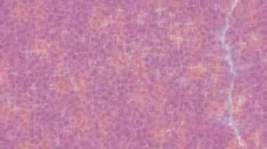 Soyut hareket desenli fütüristik video üretimi için dinamik dijital arkaplan