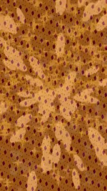 Profesyonel video projeleri sanat tarzı için organik hareketli arkaplan tasarımı