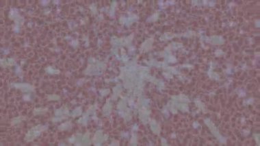 Benzersiz video giriş tasarımı projeleri için detaylı yüzey kalıbı film animasyon stili grafik girişi