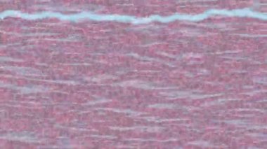 Profesyonel video projeleri sanat tarzı için organik hareketli arkaplan tasarımı