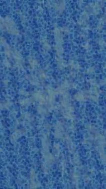 Benzersiz dijital animasyon tarzı grafikleri olan yaratıcı ortam tasarımı için yenilikçi hareket dokusu