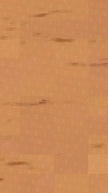 Yaratıcı video düzenleme film tasarımı için benzersiz hareket grafikleri biçimi giriş hareketi video pro