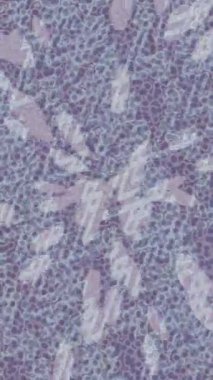 Benzersiz dijital animasyon tarzı grafikleri olan yaratıcı ortam tasarımı için yenilikçi hareket dokusu