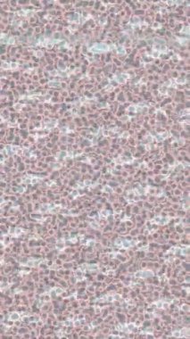 Yaratıcı video düzenleme film tasarımı için benzersiz hareket grafikleri biçimi giriş hareketi video pro