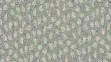 Profesyonel video projeleri sanat tarzı için organik hareketli arkaplan tasarımı