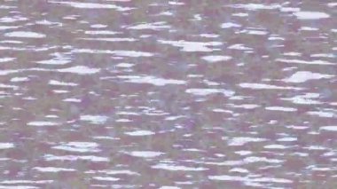 Benzersiz dijital hareket grafiklerine sahip yaratıcı sinematik projeler için yumuşak animasyon yüzeyi